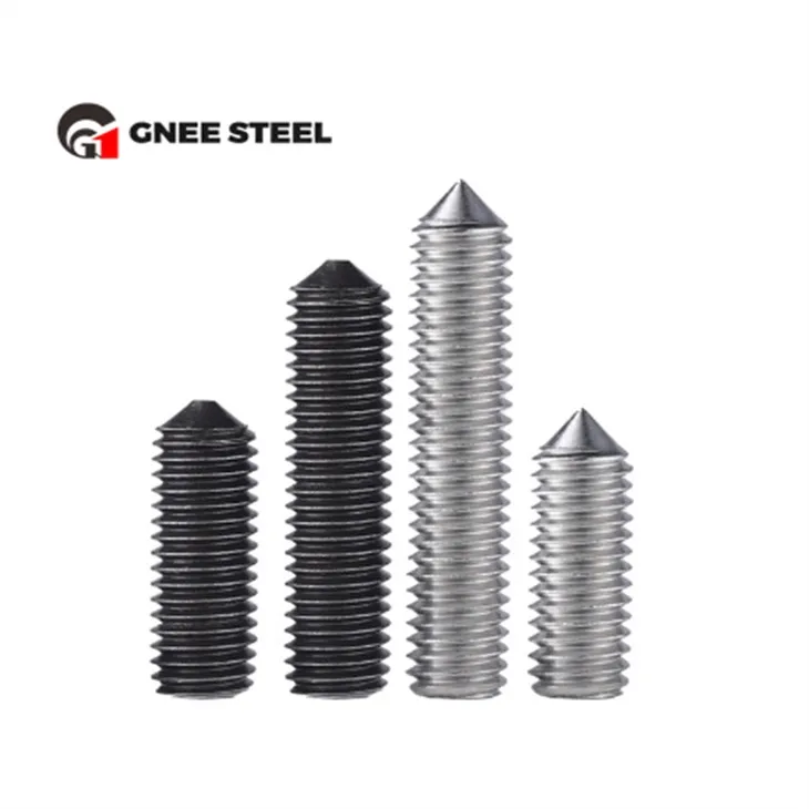 Vis de serrage en acier inoxydable DIN915 DIN916