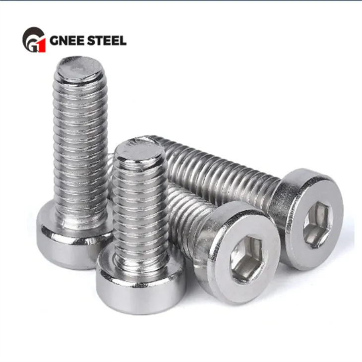 Boulons à tête creuse hexagonale basse SS201 SS304 SS316